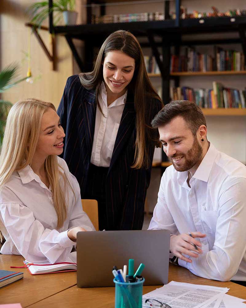 AI Data Consulting Pro