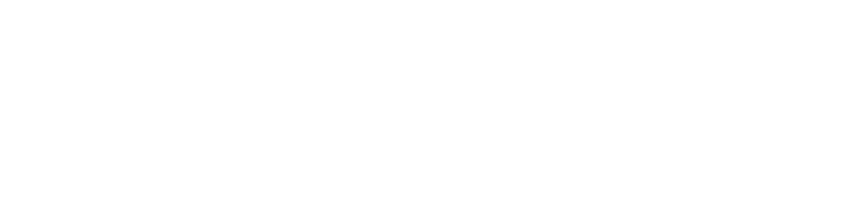 AI Data Consulting Pro